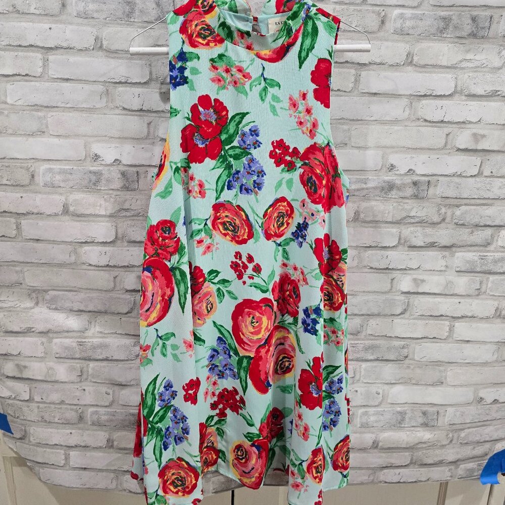 Everly Floral Sleeveless Shift Dress Women’s Size Medium Mint Green Red Tea Part